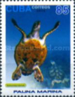 Eretmochelys imbricata