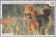 Poodle (Canis lupus familiaris)