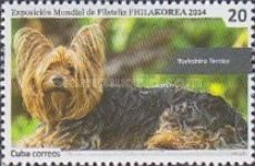 Yorkshire terrier