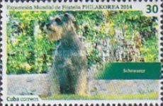 Schnauzer