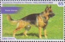 German shepherd
