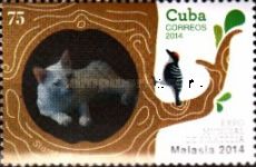 Siamese cat (Siameses)