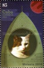Semilonghaired cat (pelos semi-largos)
