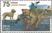 Labrador Retriever (Canis lupus familiaris)