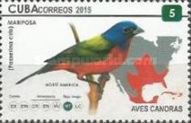 Painted Bunting (Passerina ciris)