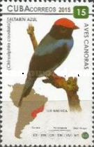 Swallow-tailed Manakin (Chiroxiphia caudata)