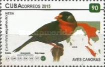 Silver-eared Mesia (Leiothrix argentauris)