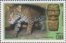 Jaguar (Panthera onca) and Olmec ceremonial hatchet