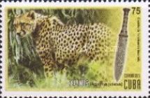 Cheetah (Acinonyx jubatus) and decorated Egyptian knife