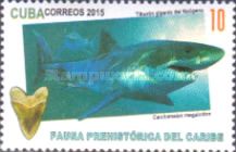 Megalodon (Carcharocles megalodon)