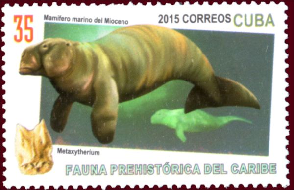 Metaxytherium