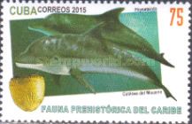 Prehistorical Marine Life of the Caribbean
