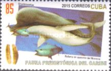 Prehistoric Sperm Whale
