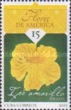Golden Trumpet (Allamanda cathartica), Brazil