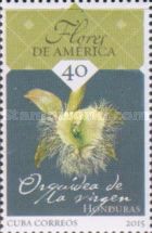Rhyncholaelia Digbyana-Virgin Orchid, Honduras