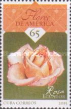 Rose, Ecuador