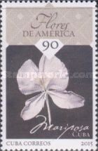 White Ginger Lily (Hedychium coronarium), Cuba