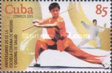 Martial arts fighter