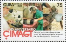 Researchers and livestock