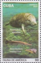 West Indian Manatee (Tricheus manatus), Cuban Gar (Atractost