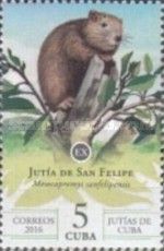 San Felipe Hutia (Mesocapromys sanfelipensis)