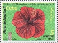 Maga (Thespesia grandiflora), Puerto Rico