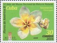 Frangipani (Plumeria), Nicaragua