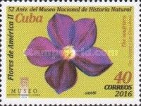 Soufriere Tree flower, Saint Vincent and the Grenadines