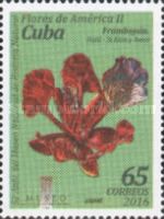 Royal Poinciana (Delonix regia), Haiti & St. Kitts and Nevis