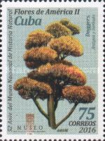 Agave, Antigua and Barbuda