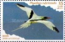 Red-tailed Tropicbird (Phaethon rubricauda)