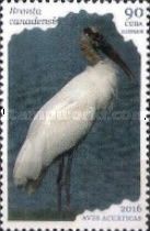 "Branta canadensis" (see Description)