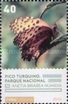 Pico Turquino (Anetia briarea numidia)