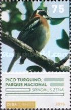 Pico Turquino (Spindalis zena)