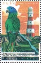 Blue-crowned Parakeet (Aratinga acuticaudatus neoxena)