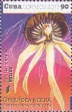 Flowers Of The Americas (Series III) : Caribbean Basin