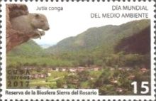Desmarest's Hutia (Capromys pilorides)