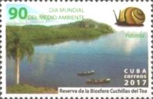 Polimita