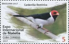 Red-cowled Cardinal (Paroaria dominicana)