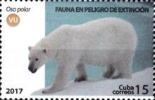 Polar bear (Ursus maritimus)