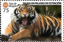 Bengal Tiger (Panthera tigris tigris)