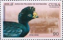 Great Curassow (Crax rubra)
