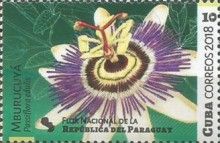 Paraguay