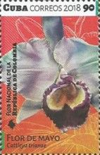Cattleya trianae - Colombia