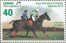 Horses (Equus ferus caballus): Argentine Polo