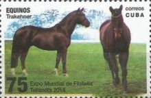 Horses (Equus ferus caballus): Trakehner