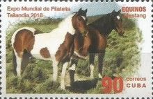 Horses (Equus ferus caballus): Mustang