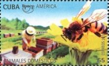 Honeybee