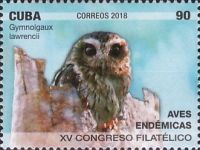 Bare-legged Owl (Gymnoglaux lawrencii)