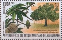 25th Anniversary of Martiano de Ariguanabo Forest